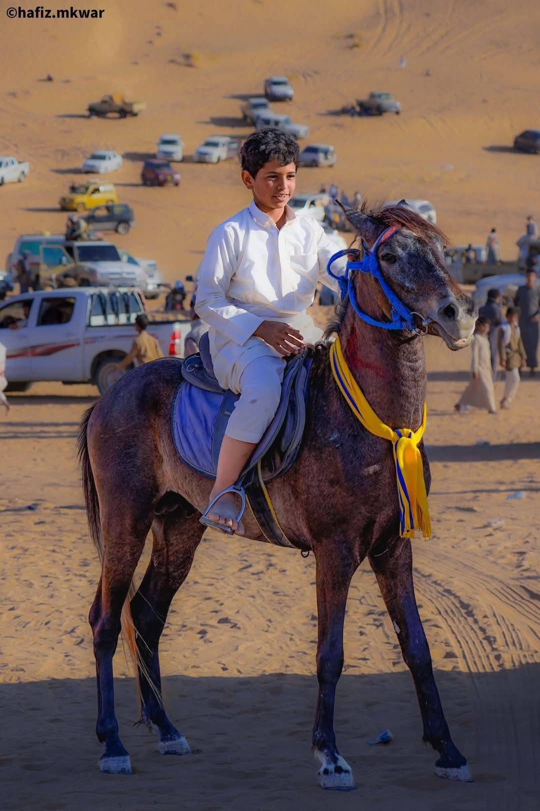 اختتام المهرجان السنوي للتراث وسباق الهجن والفروسية في شبوة