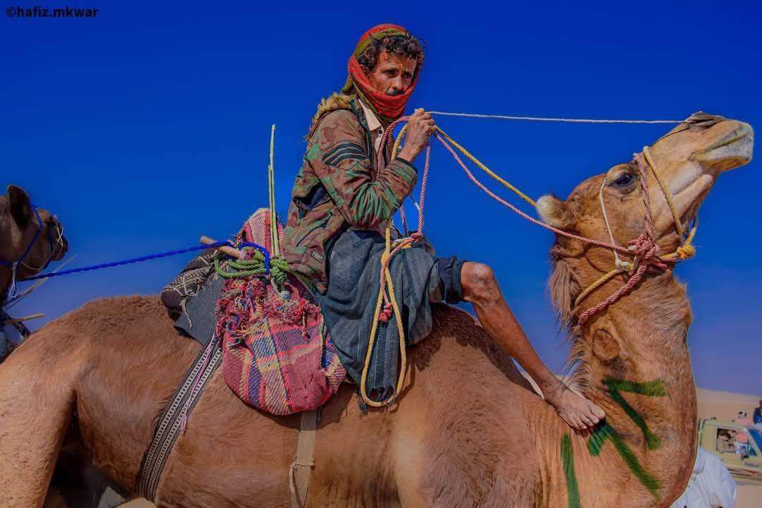 اختتام المهرجان السنوي للتراث وسباق الهجن والفروسية في شبوة