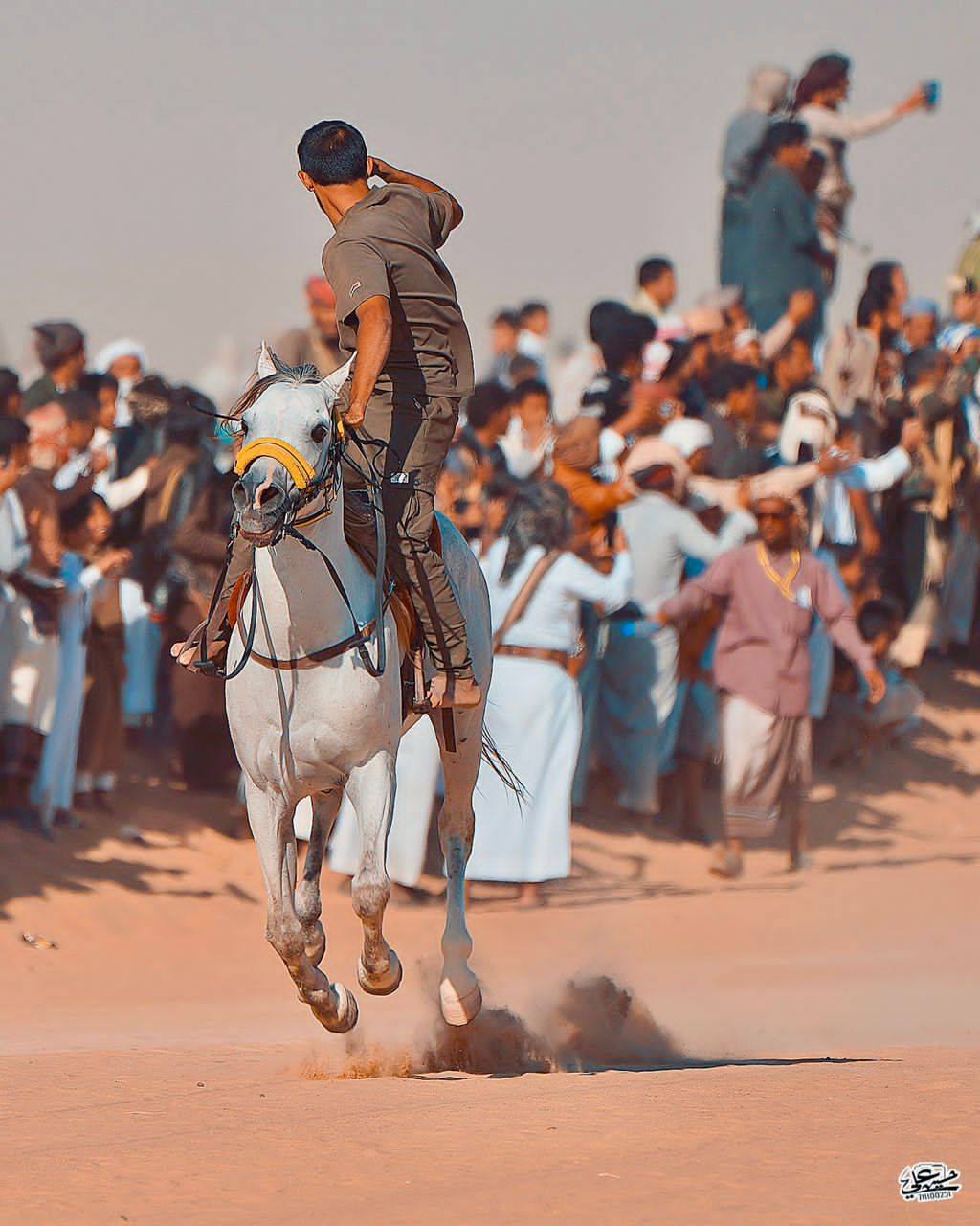 اختتام المهرجان السنوي للتراث وسباق الهجن والفروسية في شبوة