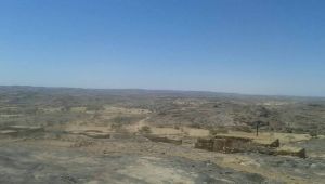 الحكومة تدعو المنظمات الأممية والدولية لمساندة جهودها لإنقاذ النازحين والمدنيين جنوبي مأرب