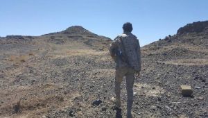 صعدة.. انتصارات جديدة للجيش الوطني في محور علب