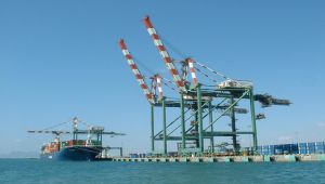 اليمن يُعلق العمل بآلية ضبط وتنظيم الواردات وشحن السلع الأساسية