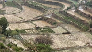 الأرصاد يتوقع أجواء مائلة للبرودة وأمطار متفرقة بعدة محافظات يمنية