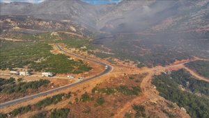 سوريا تعلن السيطرة على حرائق الغابات في ريف حماة