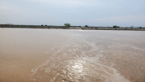 وفاة طفلة غرقاً في محافظة إب