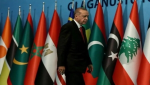 حين يتحول الفراغ إلى فرصة: اليمن بوابة الحضور التركي الجديد في المنطقة