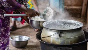 تقرير دولي عن الجوع: اليمن بين أكبر الأزمات عالميا مع تصاعد خطر المجاعة وتراجع التمويل (ترجمة)