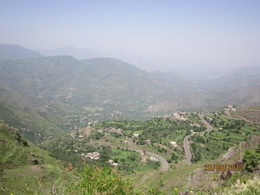 في جريمة بشعة.. شاب يقتل والدته في حزم العدين بمحافظة إب