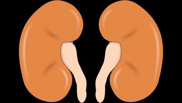 لحماية الكلى.. 10 أسئلة يجب أن تطرحها على طبيبك قبل استعمال مسكنات الألم