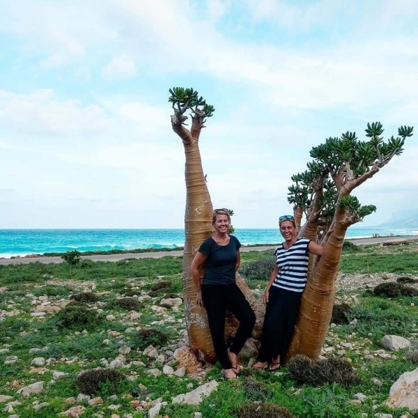 الأجندة التوسعية لدولة الإمارات العربية المتحدة في اليمن تتجلى في سقطرى