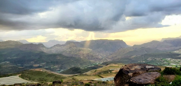 ذمار.. وثيقة تمنع اقتناء المرأة للجوال أو السفر دون محرم وعقوبات تصل إلى مصادرة الأموال