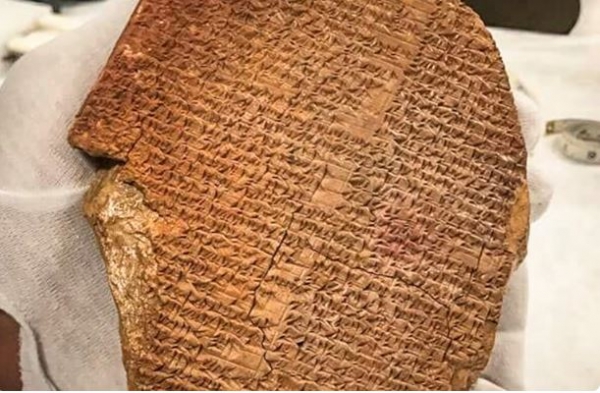 هآرتس: مدينة 