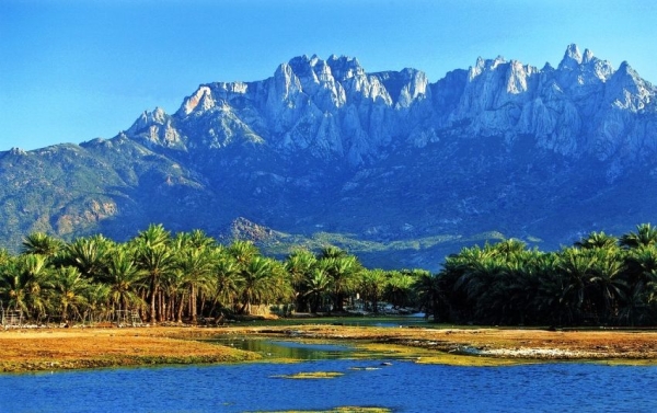 حديبو.. استعددات للإحتفاء بيوم اللغة السقطرية مطلع مارس المقبل