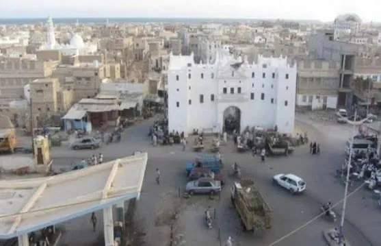 اجتياح غير مسبوق للذباب في الشحر بحضرموت يثير مخاوف صحية ودعوات لتدخل عاجل