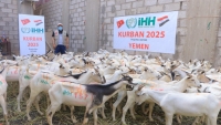بتمويل هيئات تركية.. نحو 70 ألفاً من النازحين والأسر الفقيرة في اليمن يستفيدون من مشاريع لحوم الأضاحي